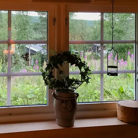 Modern Log By Hardangervidda * Dagali