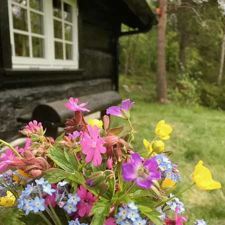 Prázdninový dům Modern Log By Hardangervidda Dagali