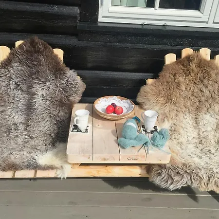 Modern Log By Hardangervidda Prázdninový dům Dagali