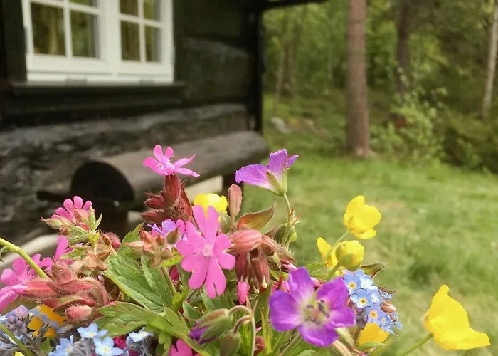 Casa vacanze Modern Log By Hardangervidda Dagali