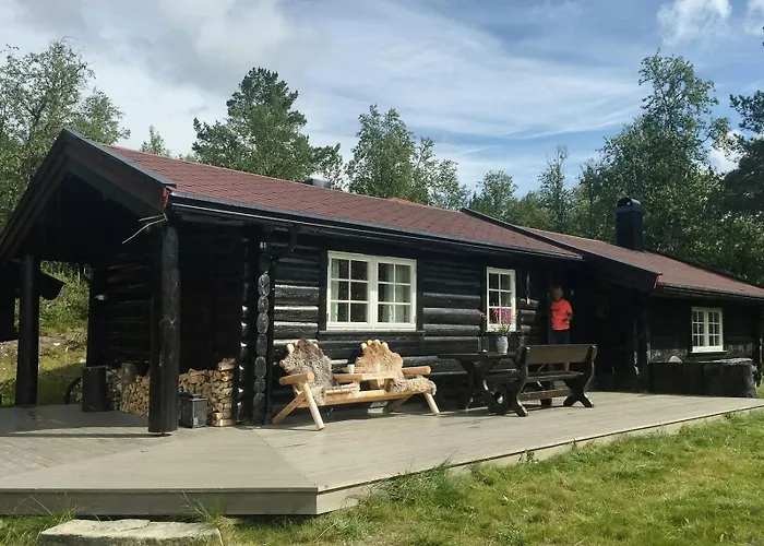 Modern Log By Hardangervidda *